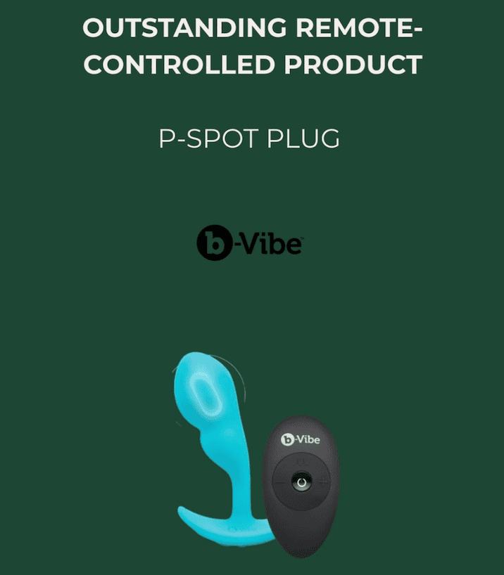 b-Vibe 2026 O Awards